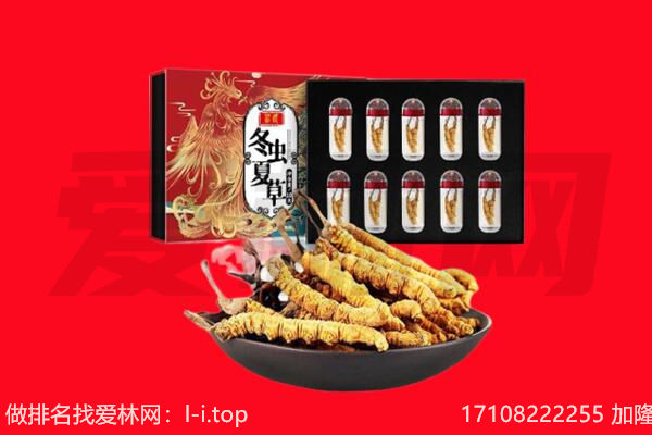 清河县回收虫草.jpg